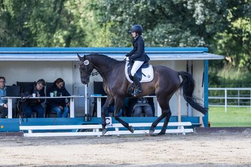 Bild 250 - Pony Akademie Turnier